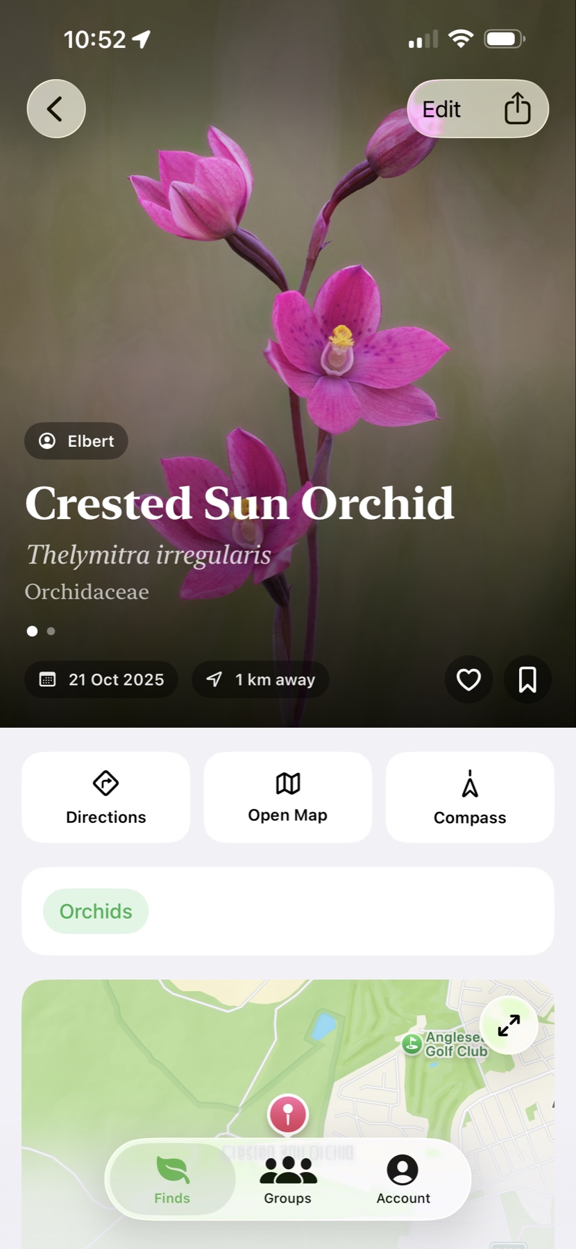 BloomScout iPhone screenshot showing a Crested Sun Orchid detail screen with map and actions.