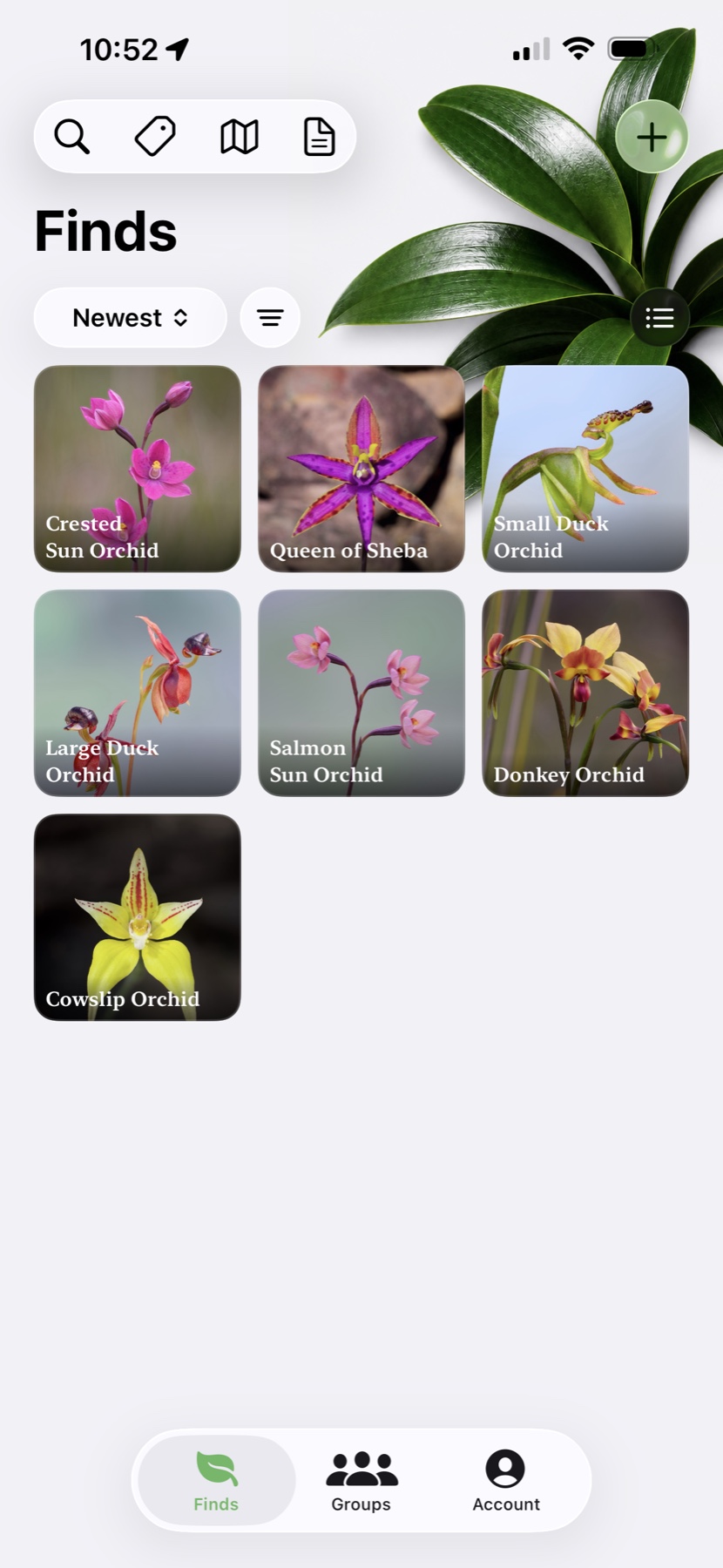 BloomScout iPhone screenshot showing plant finds in a photo grid view.
