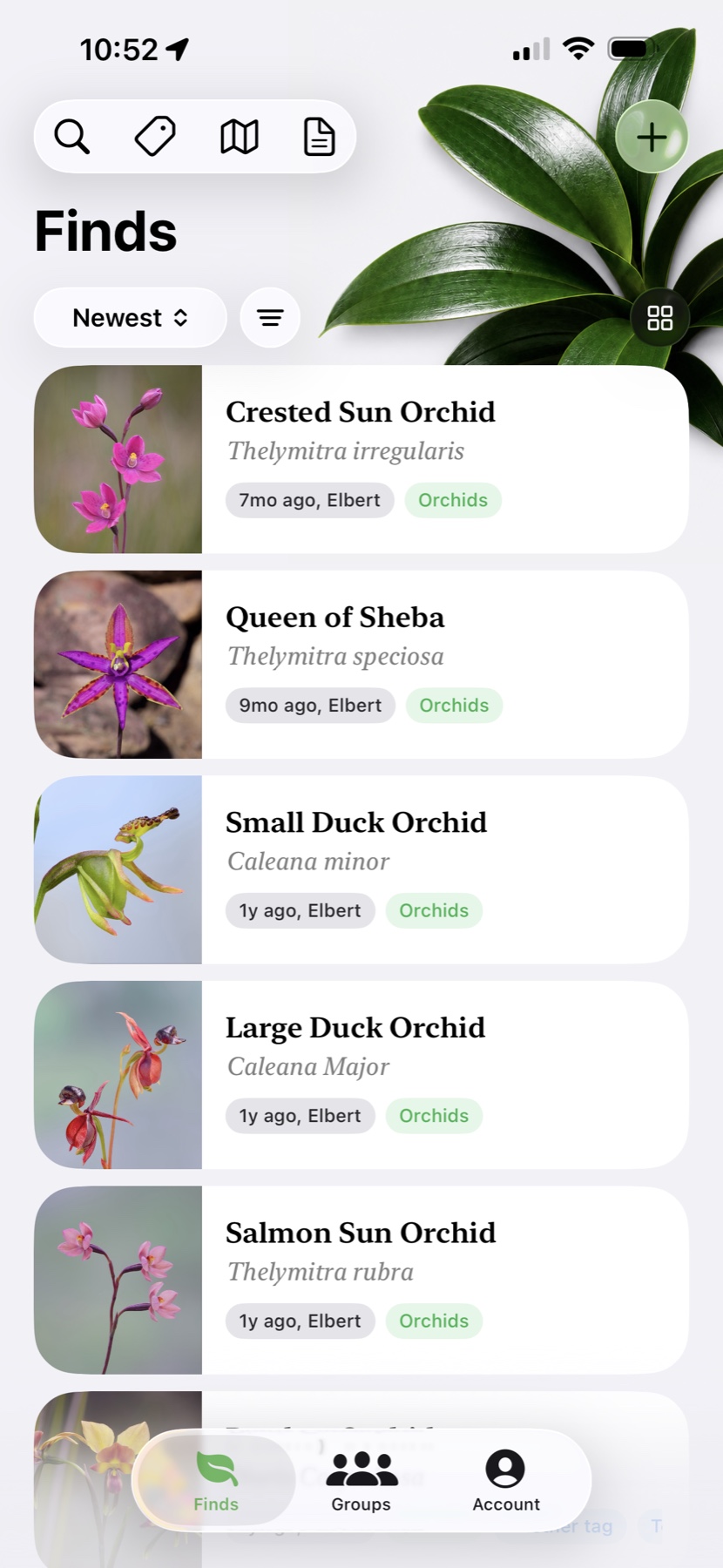 BloomScout iPhone screenshot showing plant finds in a detailed list view.